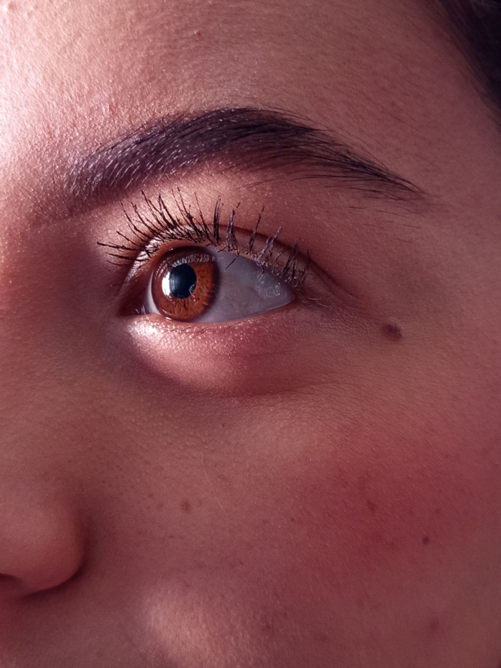Permanent Brow Services